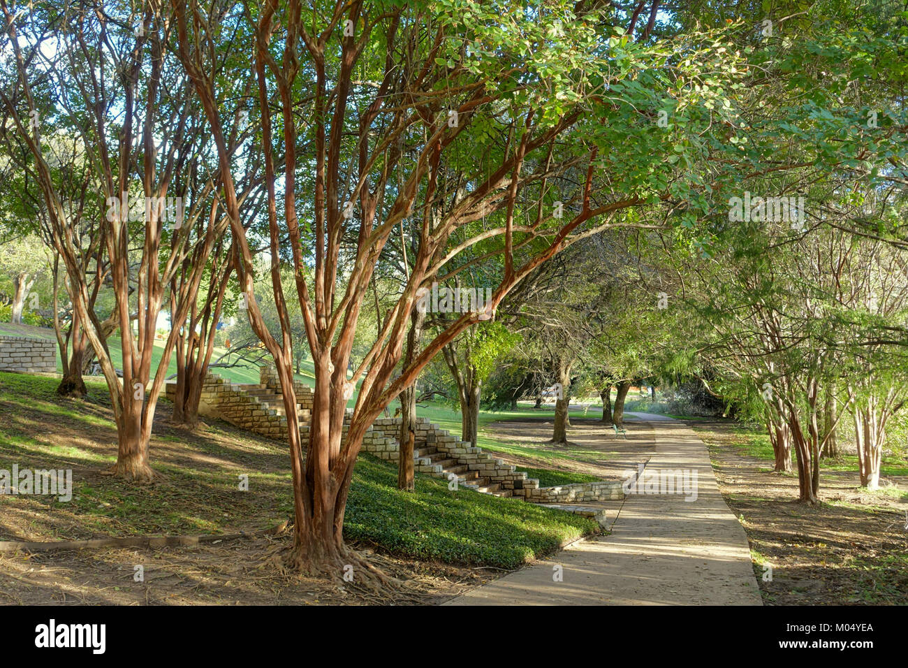 Butler austin hi-res stock photography and images - Alamy