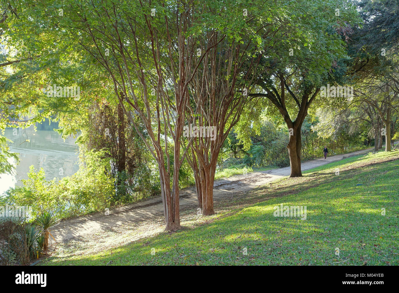 Butler austin hi-res stock photography and images - Alamy