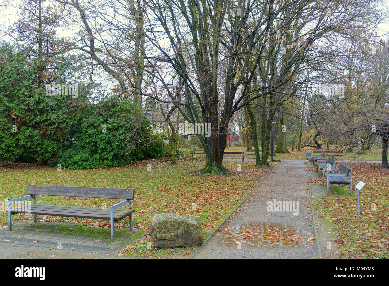 Botanischer Garten Heidelberg, Germany DSC00877 Stock Photo Alamy