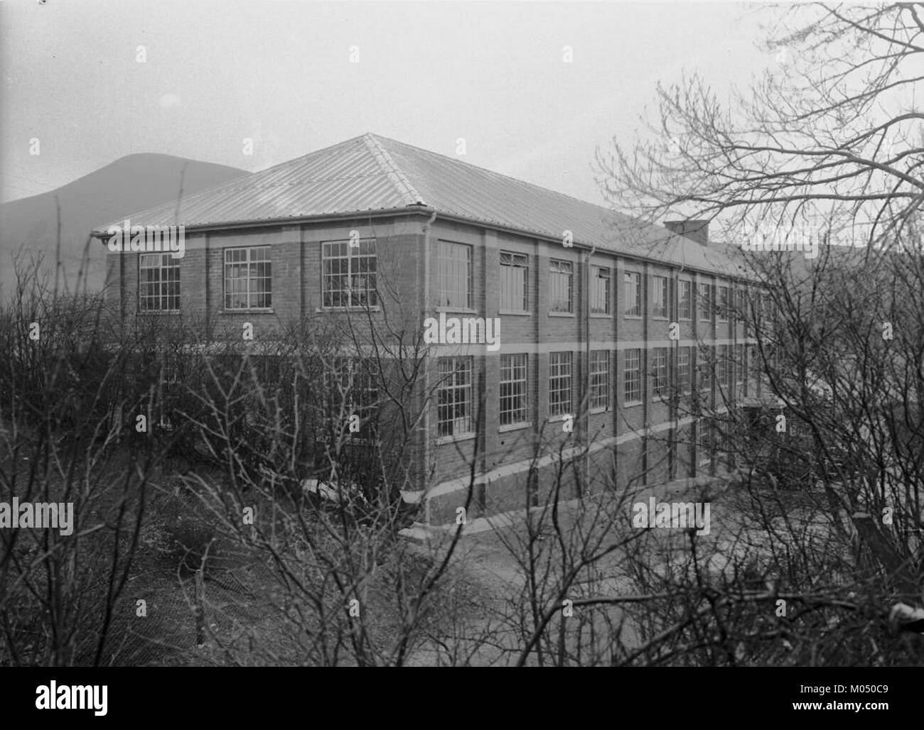 Cambrian Woollen Mill, Llanwrtyd (1294784 Stock Photo Alamy