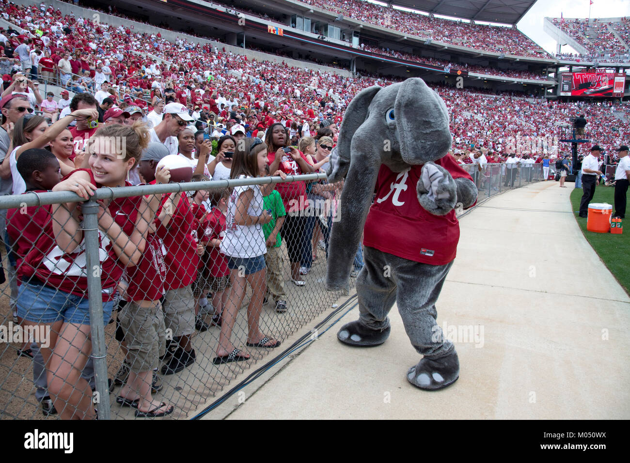 Alabama Football Scrimmage Stock Photo Alamy