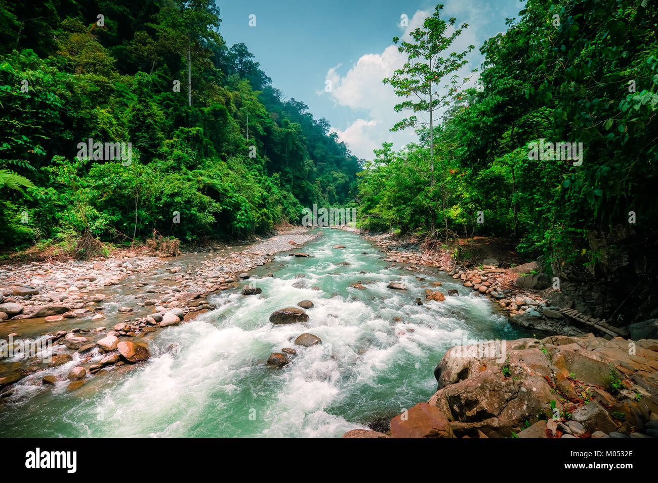 Mysterious mountainous jungle with trees leaning over fast stream with  rapids. Magical scenery of rainforest and river with rocks. Wild, vivid  vegetat Stock Photo - Alamy, image size:1300x956