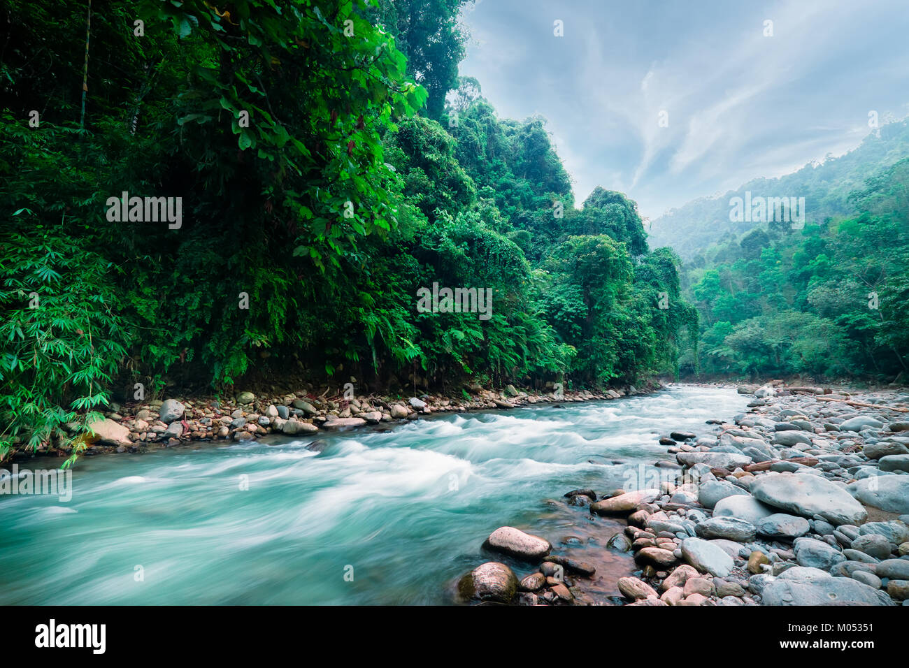 Mysterious mountainous jungle with trees leaning over fast stream with  rapids. Magical scenery of rainforest and river with rocks. Wild, vivid  vegetat Stock Photo - Alamy, image size:1300x956