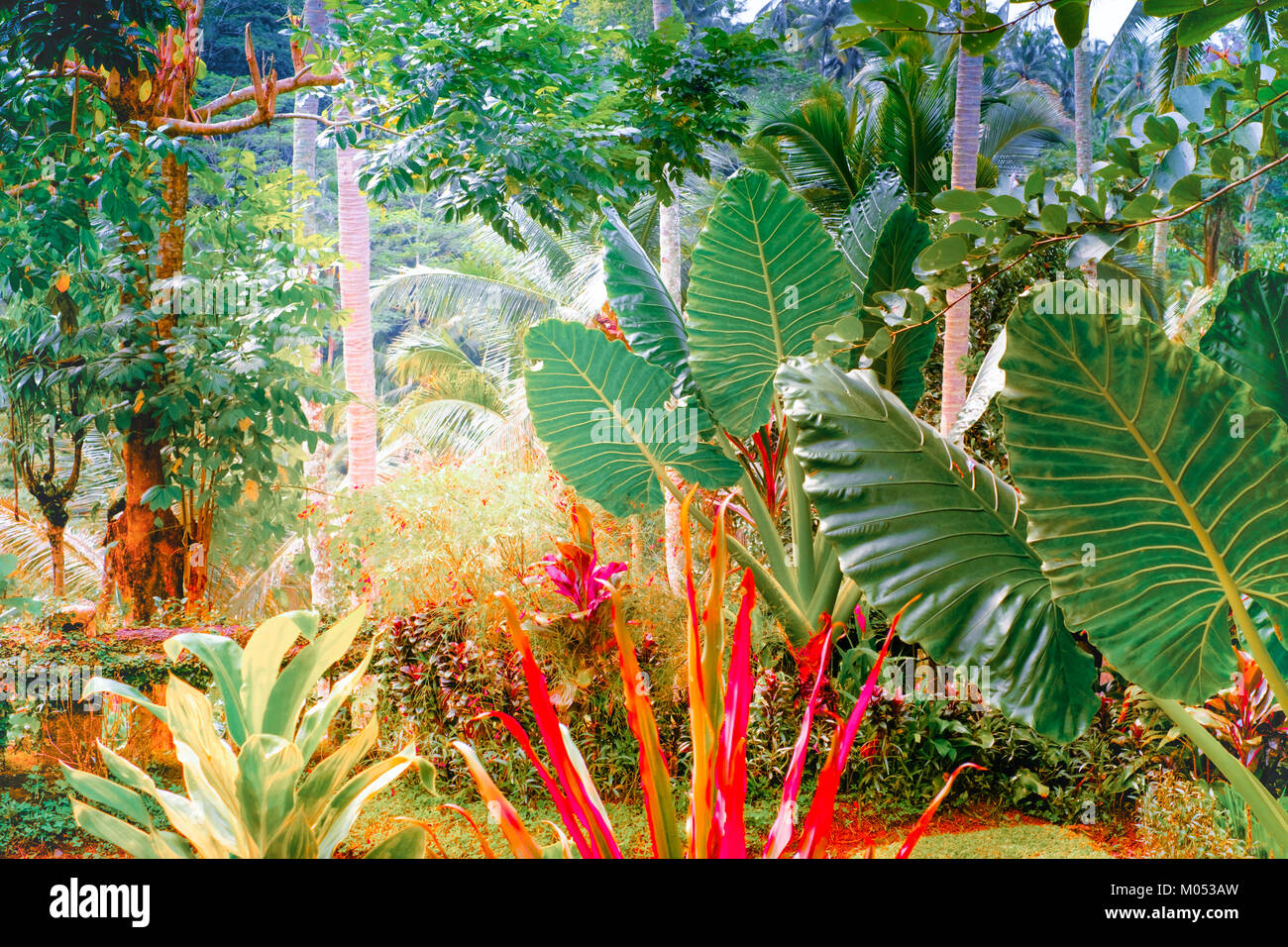 Surreal colors of fantasy tropical garden with amazing plants and flowers Stock Photo