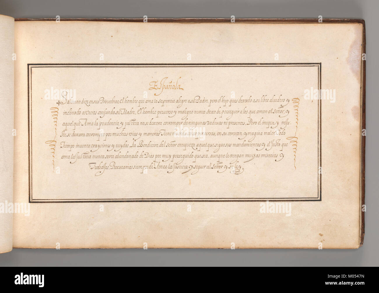 This is a calligraphic exercise written in Spanish, showcasing the ...