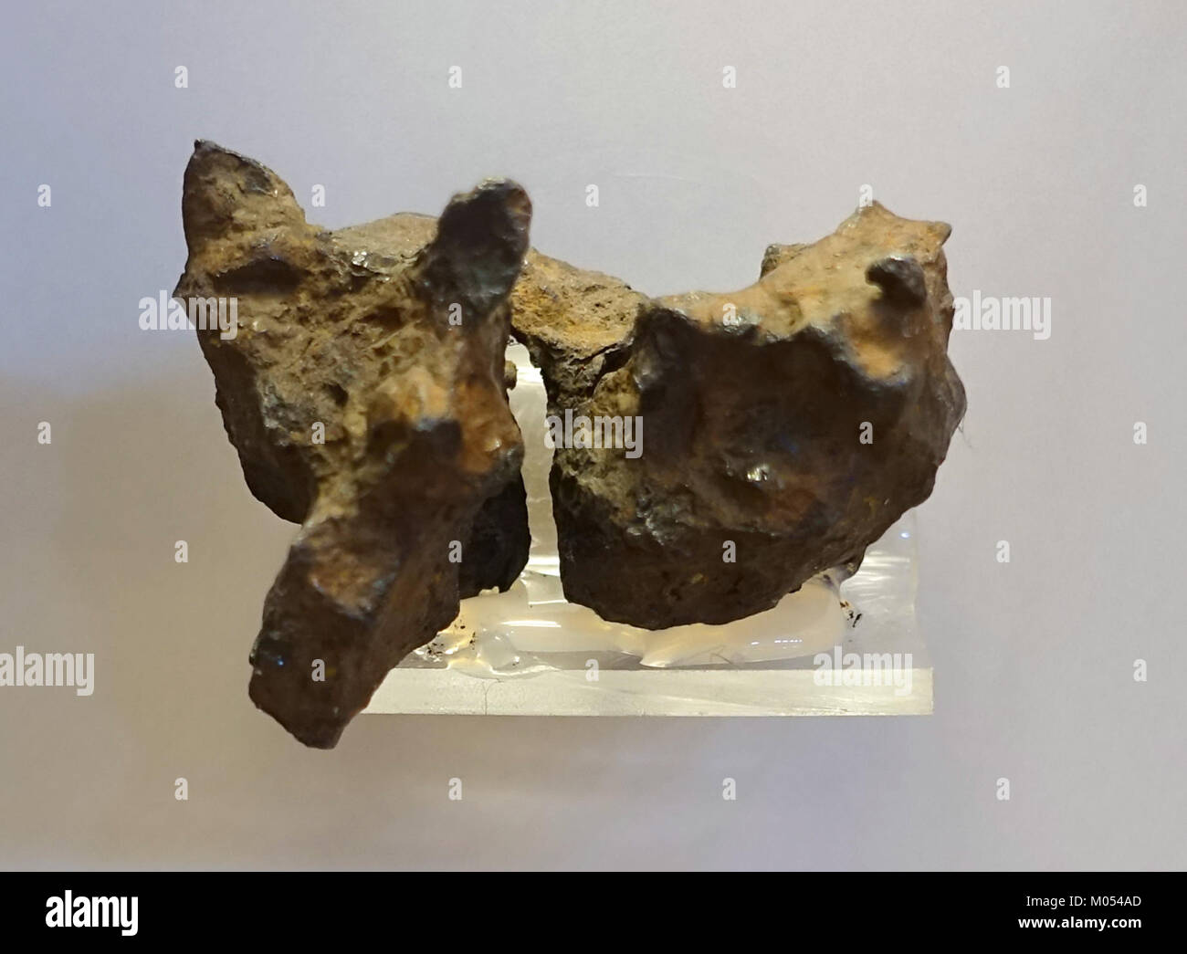 Brenham meteorite, Kansas, fell in 1892, pallasite, silicate minerals ...