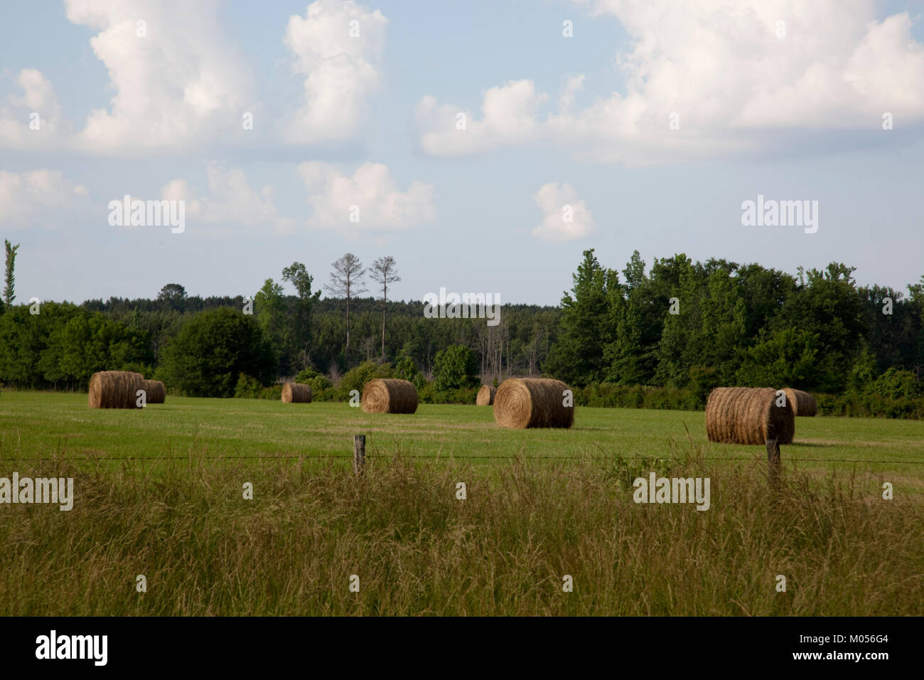 Hay bales dot the landscape Stock Photo