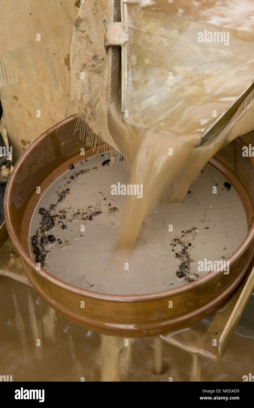 Excavation and archaeology measure hires stock photography and images