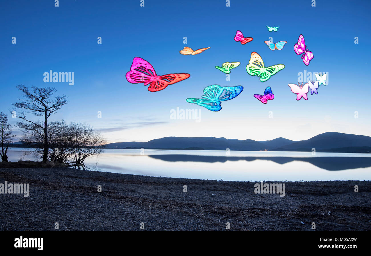 Light painting animation of butterflies at Millarochy Bay, Loch Lomond, Scotland. Stock Photo