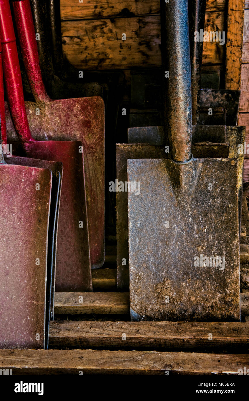 Archaeologist's tools Stock Photo