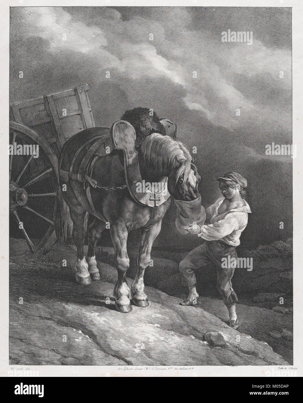 Boy Feeding a Cart Horse from a Nose Bag MET DP875696 Stock Photo