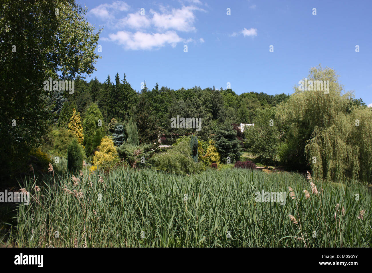 Borotin 644 refers to a historical or significant object, location, or ...