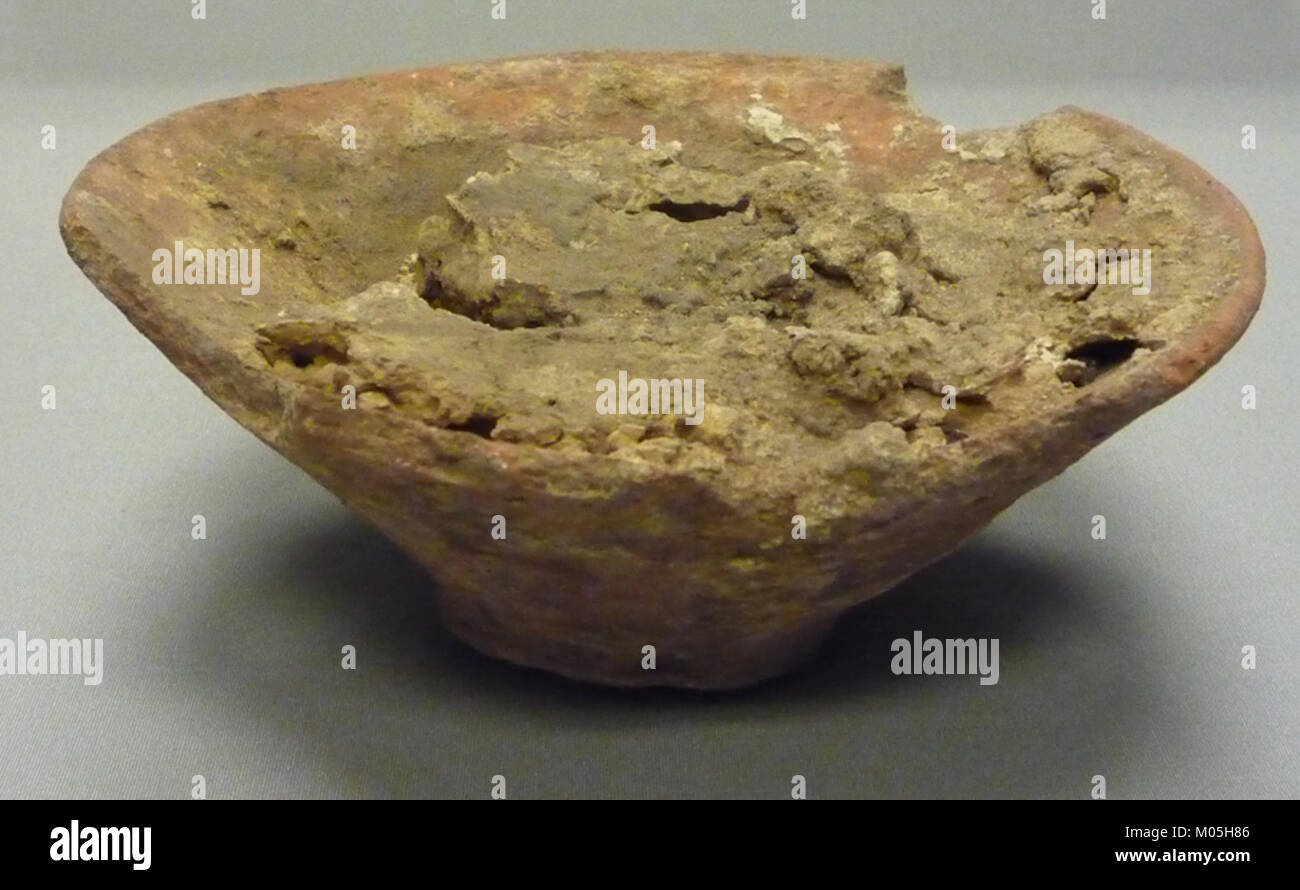 This bowl, made of resin and butter, is part of the MET collection. It ...
