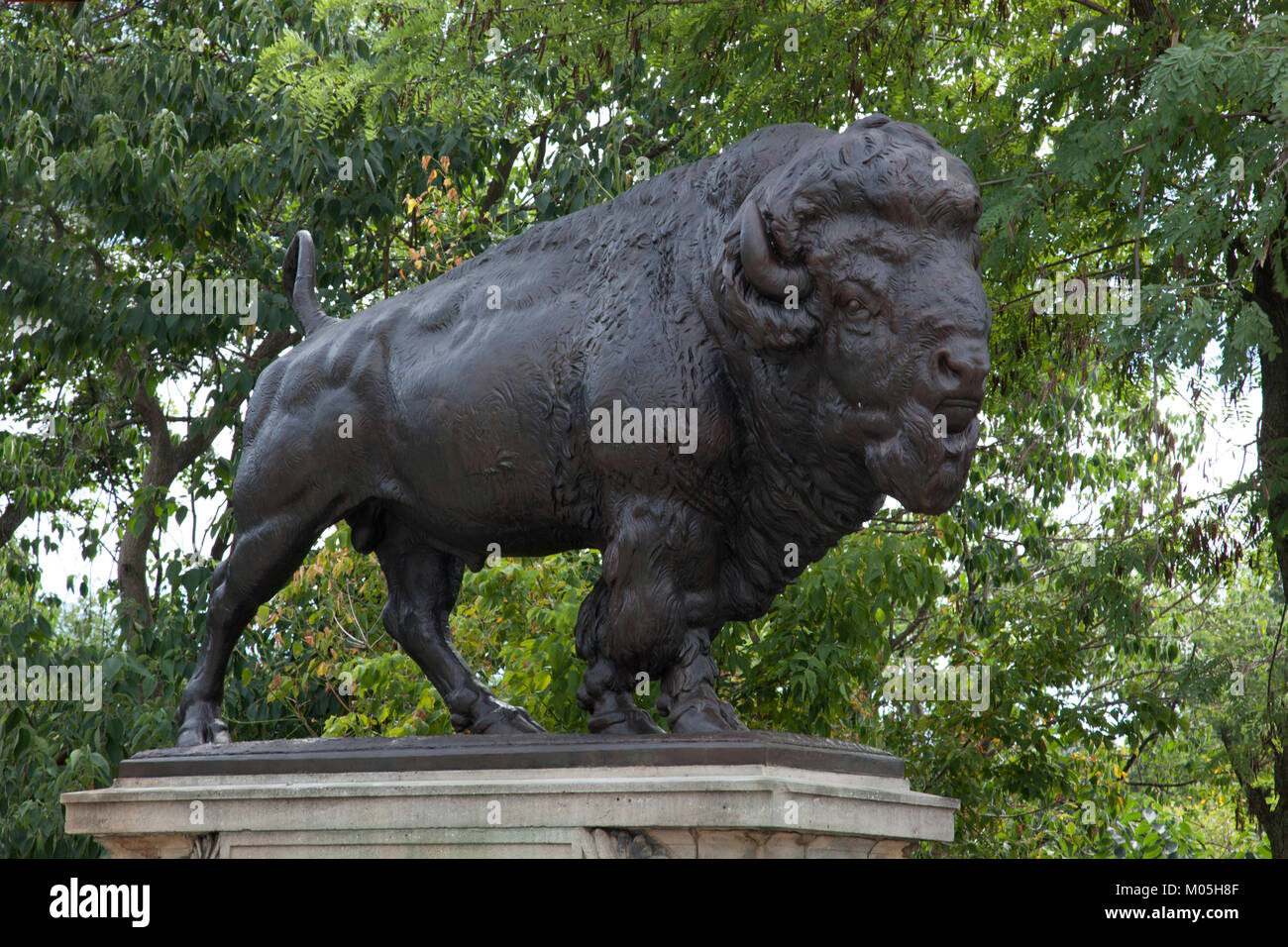 Bison buffalo sculpture hires stock photography and images Alamy