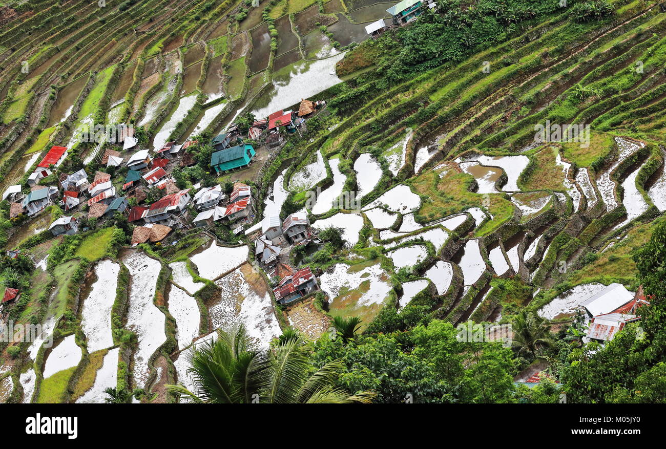 The Batad village cluster-part of the Rice Terraces of the Philippine Cordilleras UNESCO World Heritage Site in the cultural landscape category. Banau Stock Photo