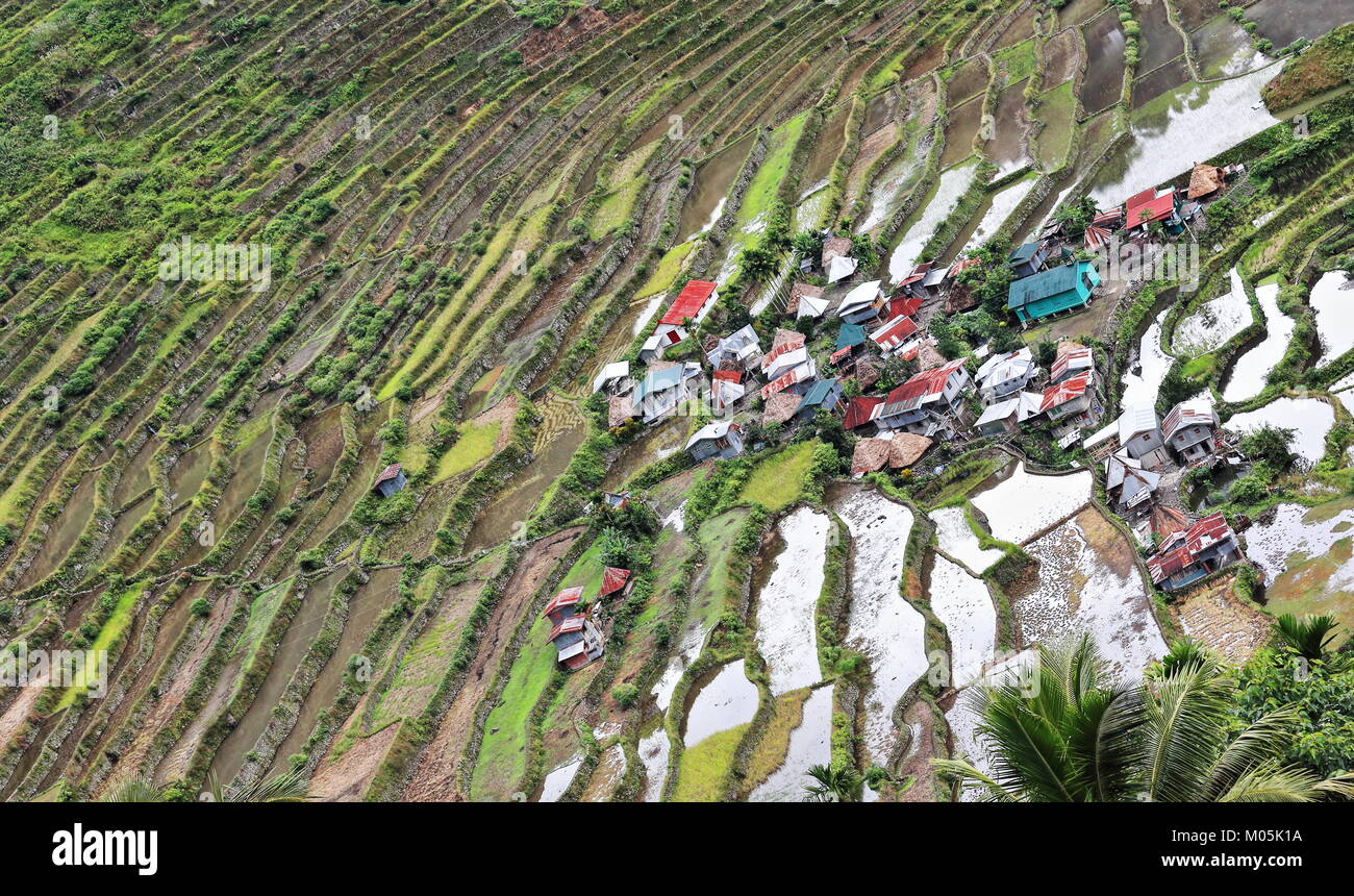 The Batad village cluster-part of the Rice Terraces of the Philippine Cordilleras UNESCO World Heritage Site in the cultural landscape category. Banau Stock Photo