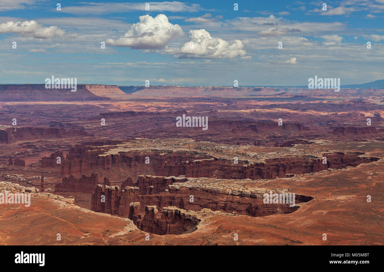 A view of the Grand View Point Overlook in the Canyonlands National Park in Utah. Stock Photo