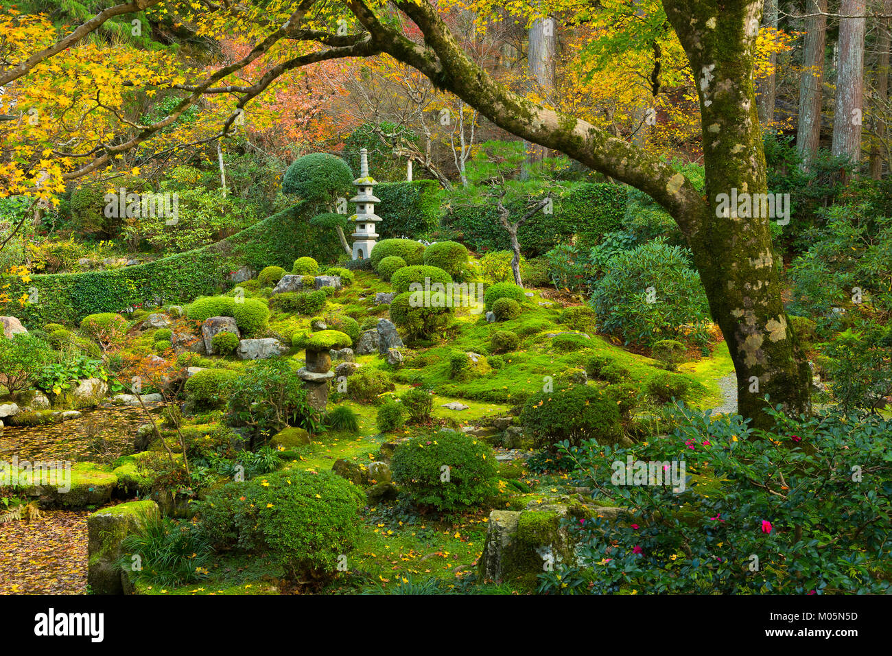 The Shuheki-en Garden at Sanzen-in in Ohara, Japan in the fall. Stock Photo
