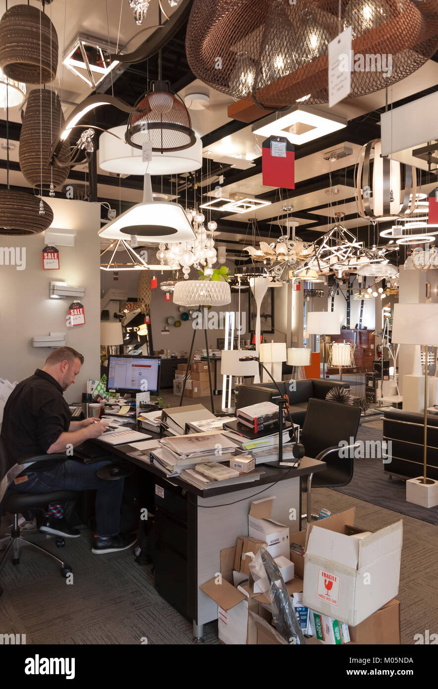 Employee working at his desk within a retail lighting store. Stock Photo