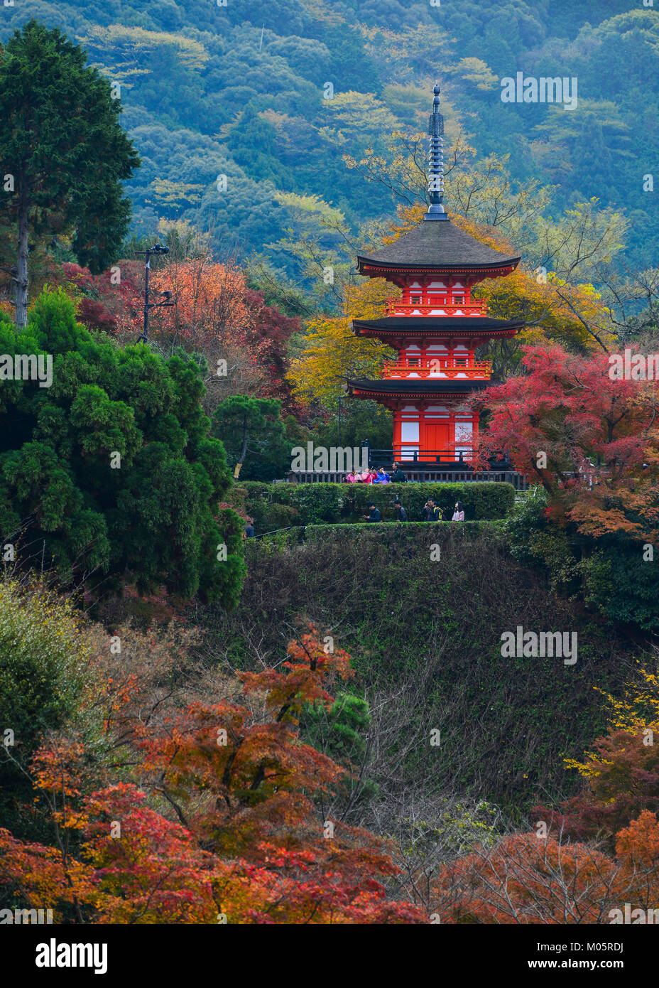 Kyoto, Japan - Nov 29, 2016. Prayers visit Kiyomizu-dera Temple at autumn in Kyoto, Japan. The temple is part of the Historic Monuments of Kyoto UNESC Stock Photo