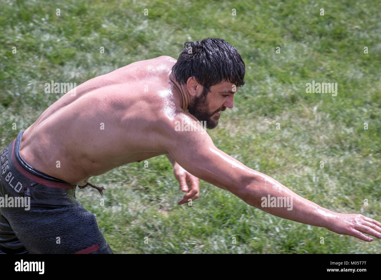 Muscle Oil Wrestling