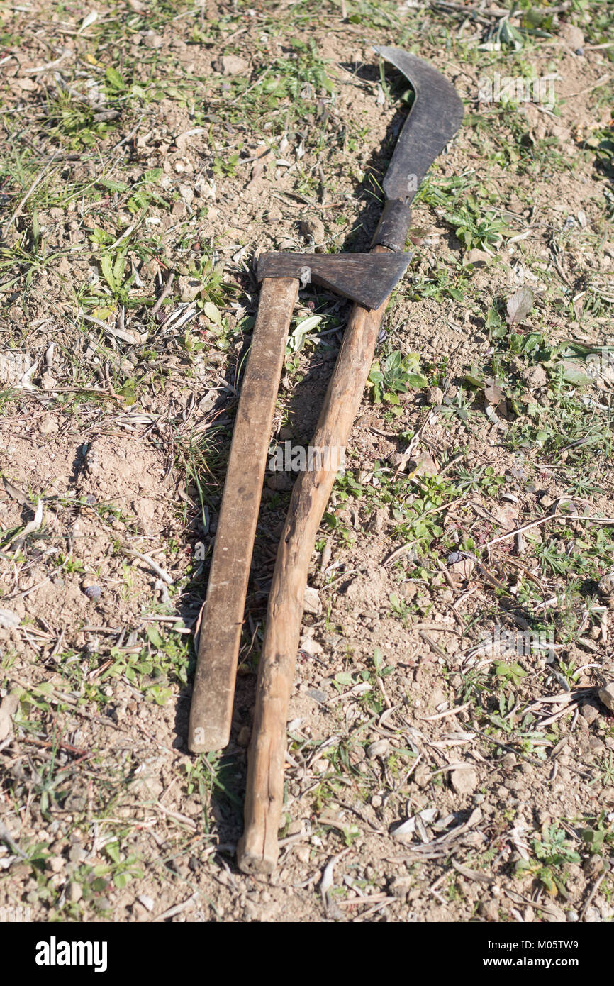 Agricultural hand tools, axe and billhook. Stock Photo