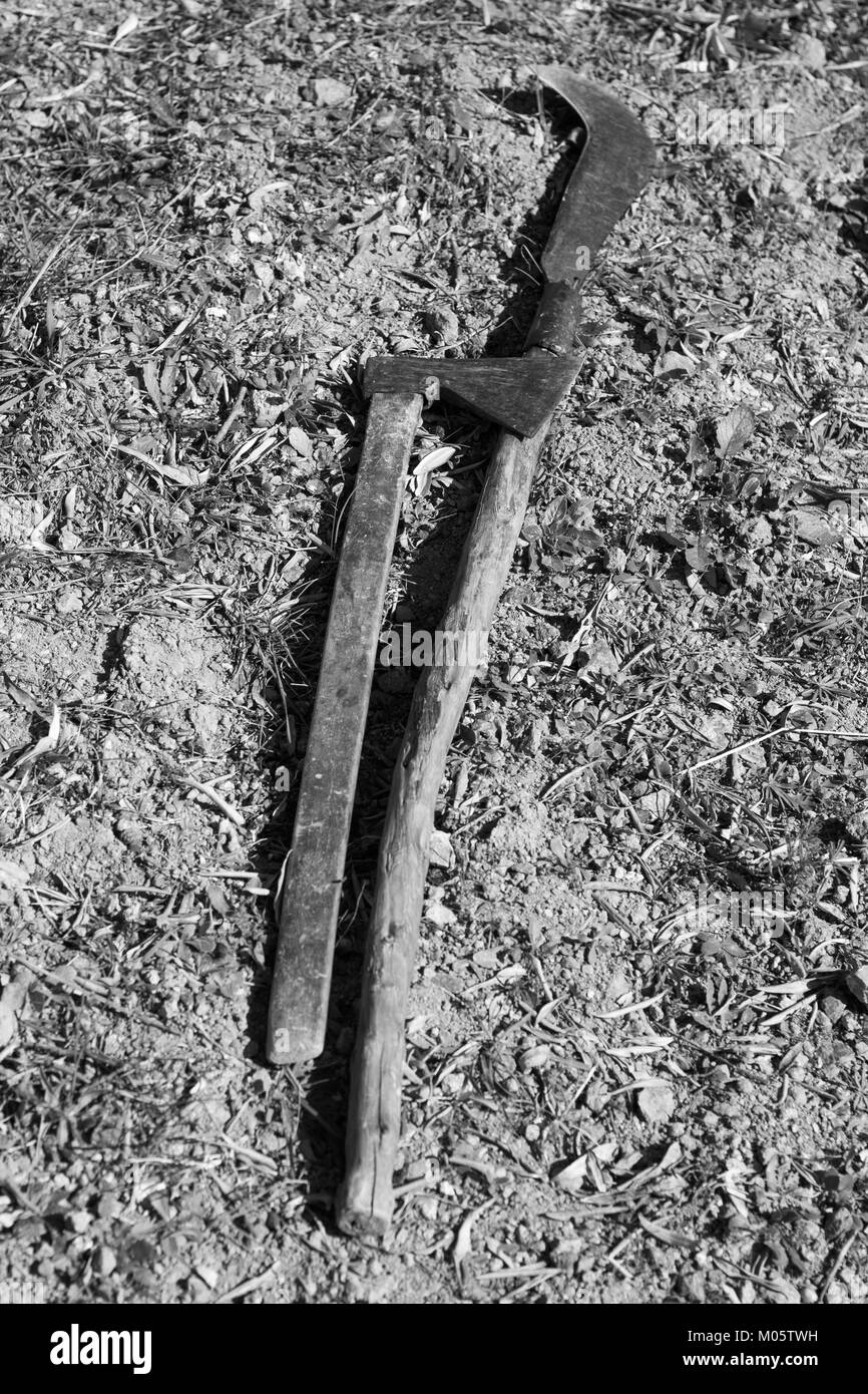 Agricultural hand tools, axe and billhook, monochrome. Stock Photo