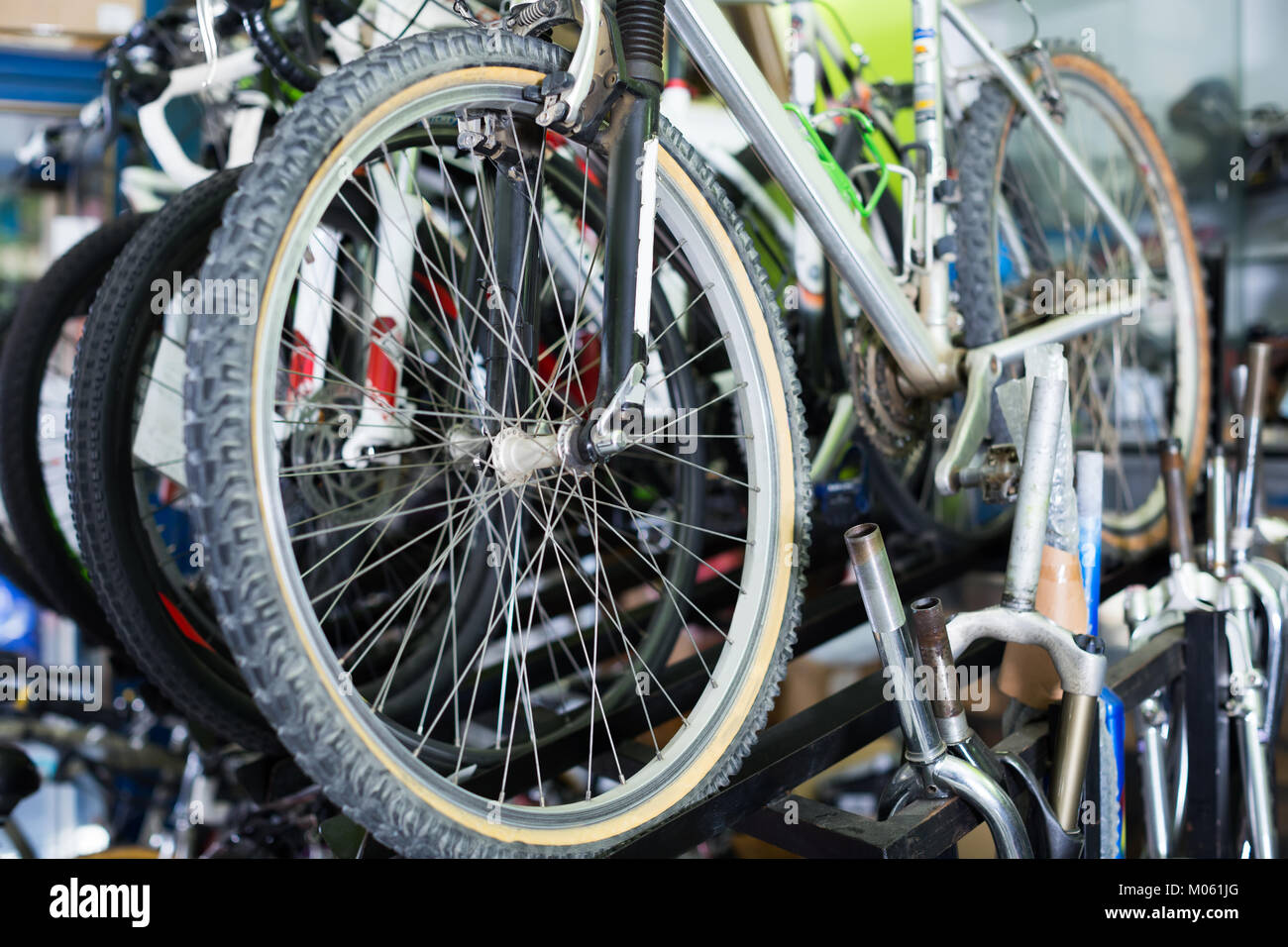 bike tyres shop