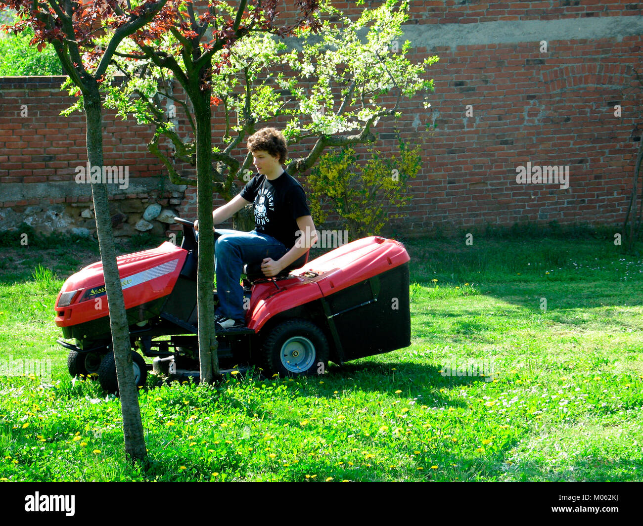 young boy driving grass cutter Stock Photo Alamy