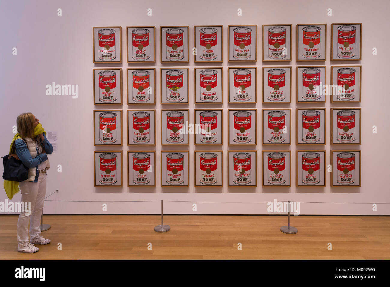 Visitor admires Campbell's Soup Cans, Andy Warhol, 1962, MOMA, New York City, USA, North America Stock Photo
