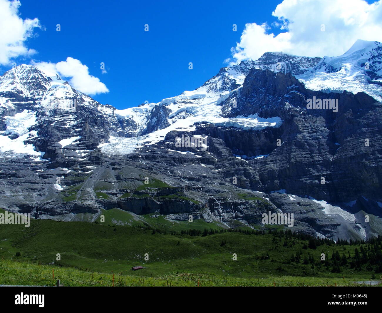 Alpine mountains range landscape near GRINDELWALD village in beauty ...