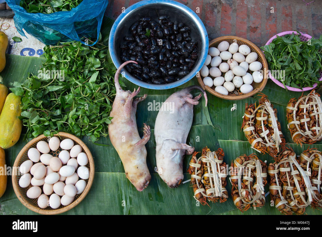 Rats, crabs, beetles and eggs at the morning market in Luang Prabang, Laos Stock Photo