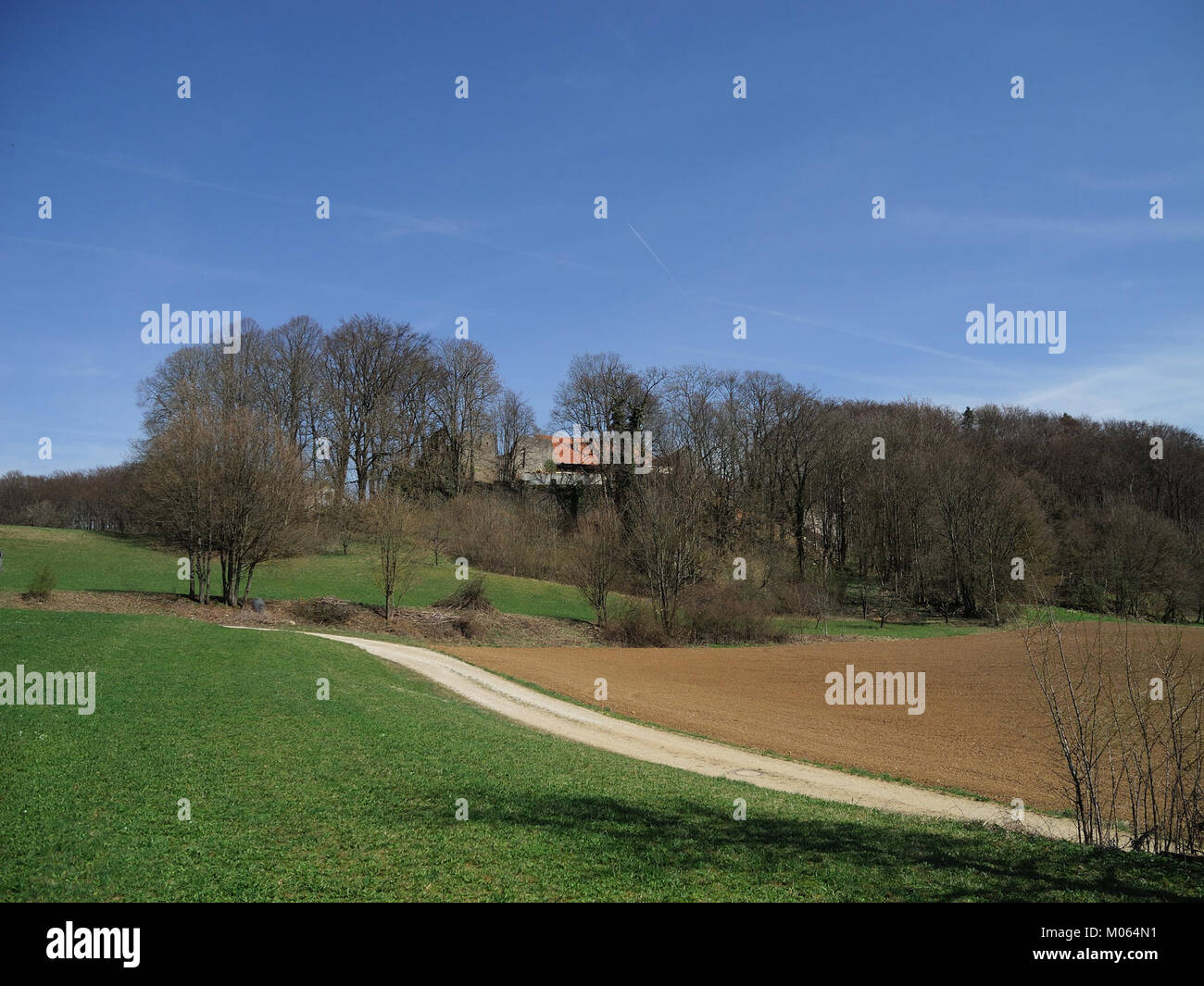 Winterstein Ruins of winterstein castle hi-res stock photography and images - Alamy