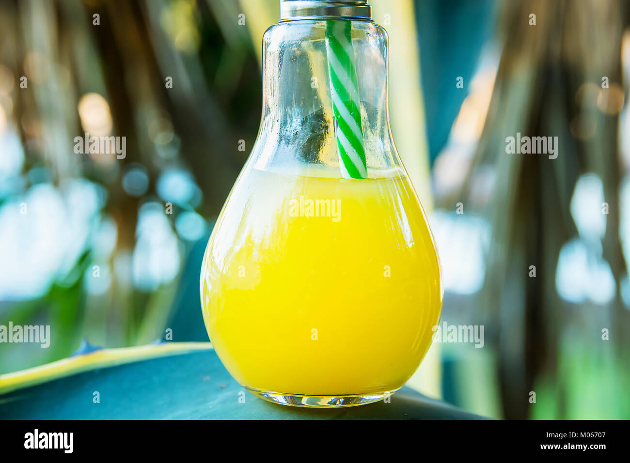 Light Bulb Glass Bottle with Freshly Pressed Orange Tropical Fruits Juice Standing on Agave Leaf. Sunlight in Background. Seaside Beach Vacation Relax Stock Photo