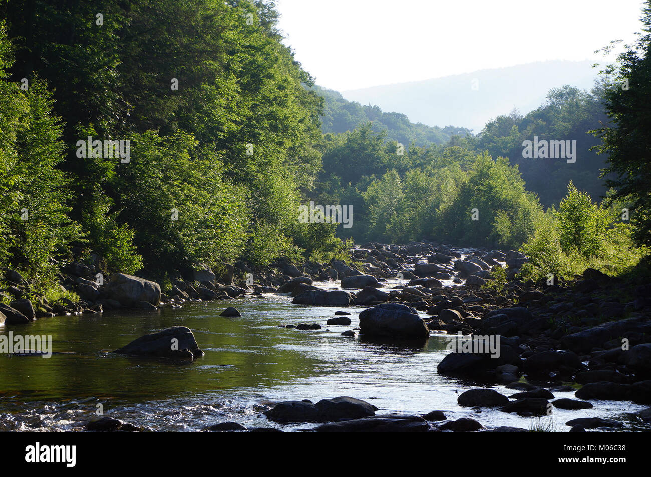 Camping in monongahela national forest West Virginia 4 Stock Photo