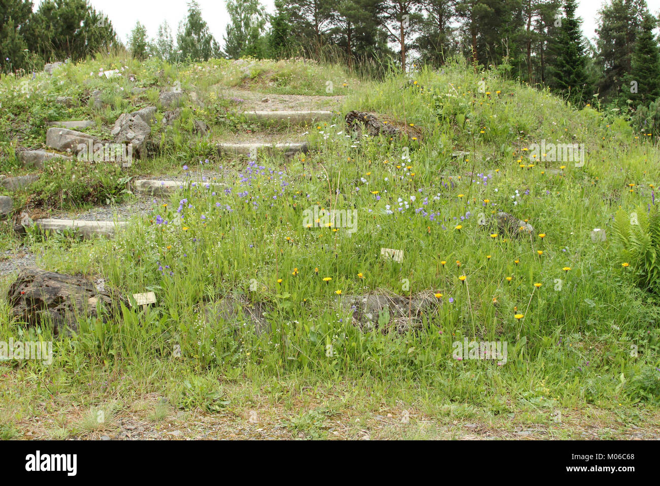 Botanical Gardens of Oulu University 20130623 05 Stock Photo