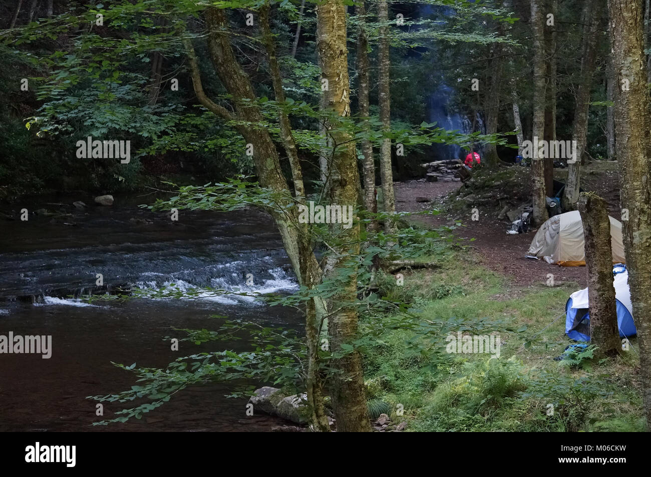 Monongahela national forest camping hires stock photography and images