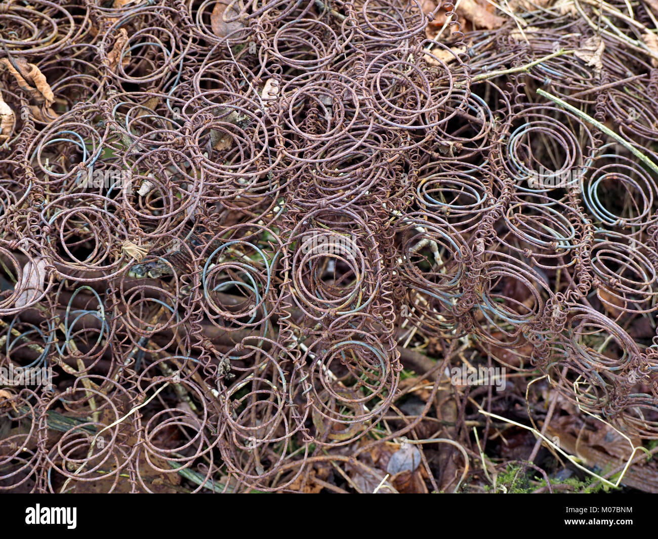 coil springs from a dumped mattress dotted with leaves in Winter make an interesting abstract pattern in Eden Valley, Cumbria, England, UK Stock Photo