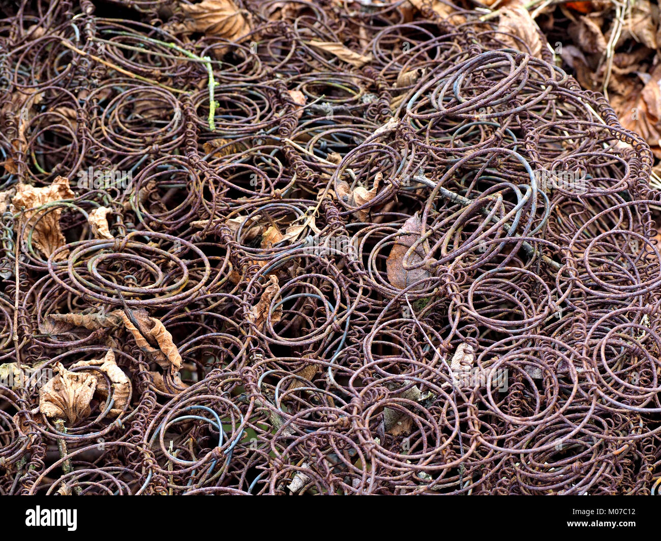 coil springs from a dumped mattress dotted with leaves in Winter make an interesting abstract pattern in Eden Valley, Cumbria, England, UK Stock Photo