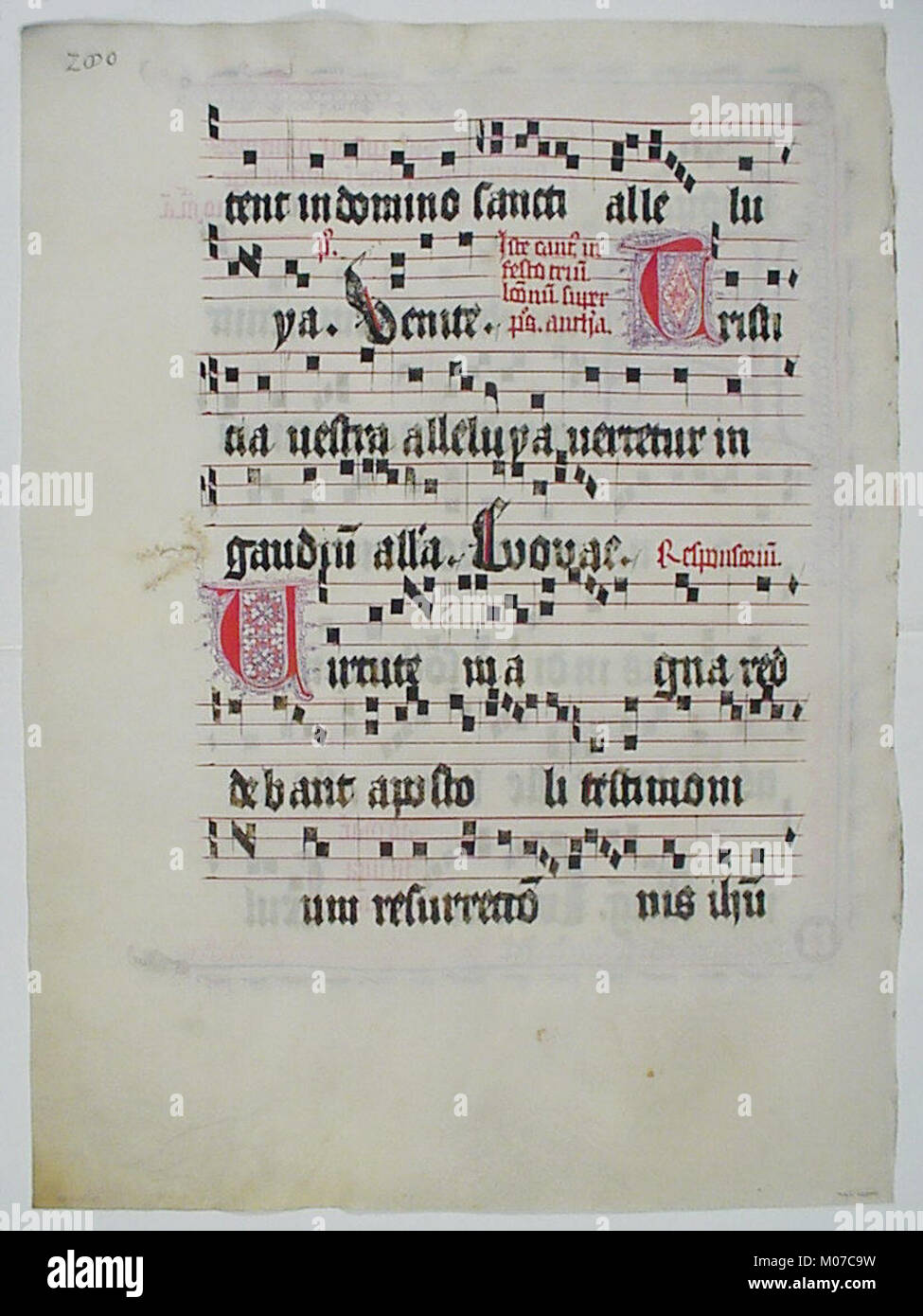 Manuscript F This manuscript leaf with initial 'F' from an antiphonary illustrates ...