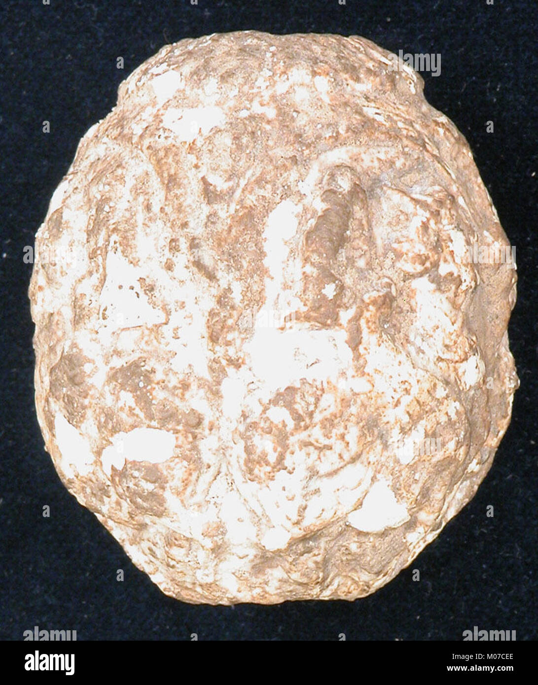 Mace Head MET sf197026d Stock Photo Alamy