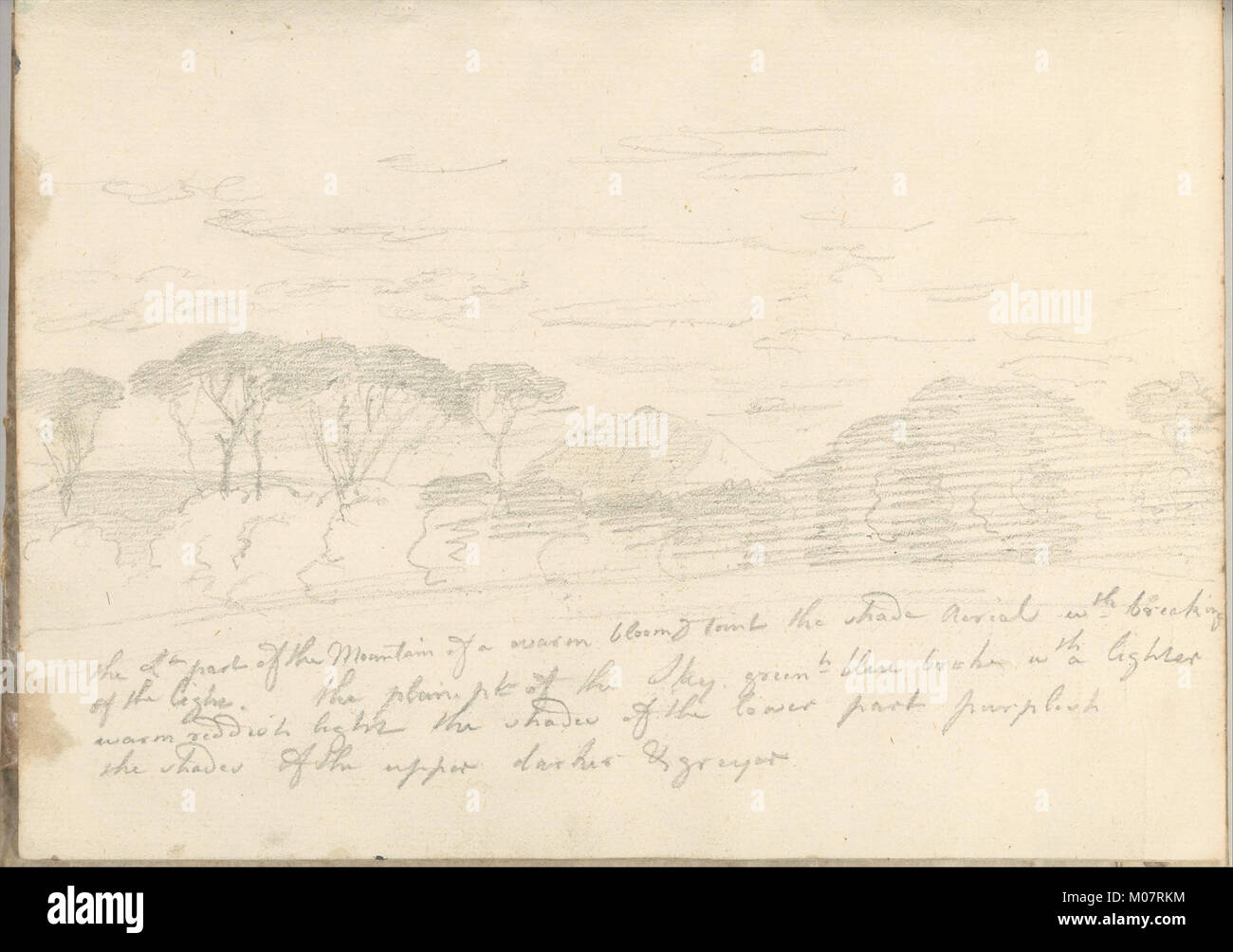 Landscape with Umbrella Pines and Distant Mountain (Smaller Italian Sketchbook, leaf 41 recto) MET DP269449 Stock Photo