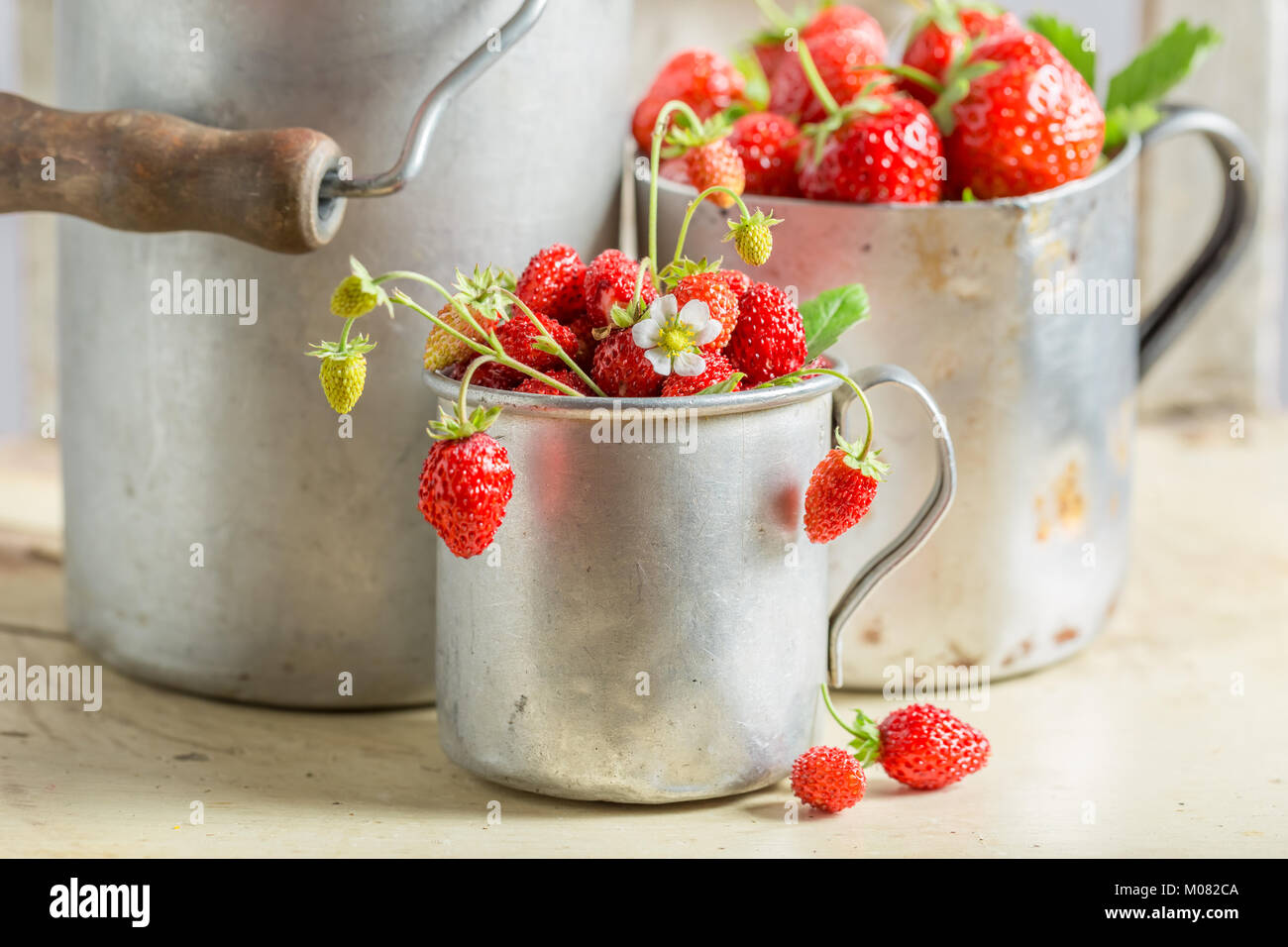 Wild strawberries hi-res stock photography and images - Alamy