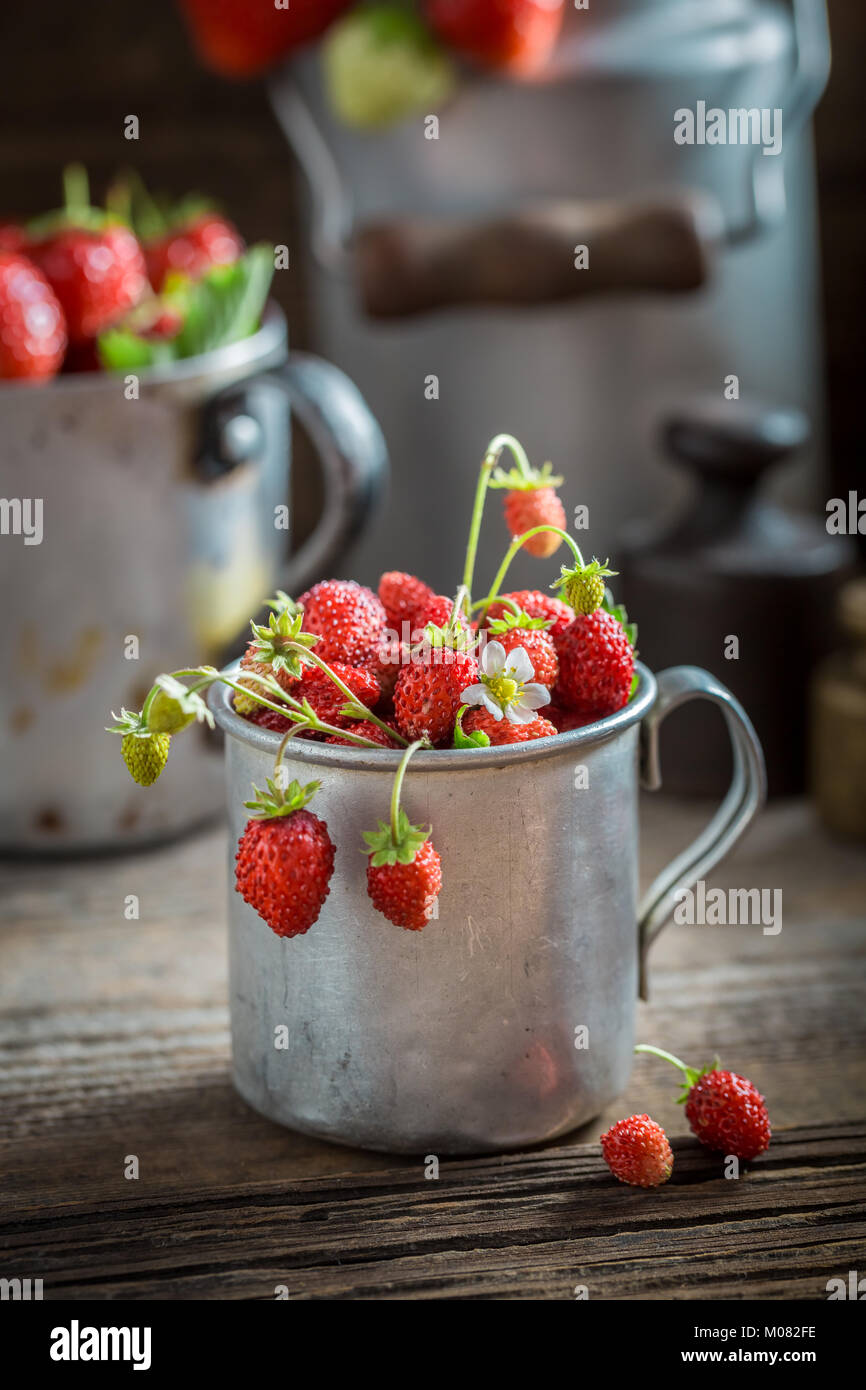 Wild strawberries hi-res stock photography and images - Alamy