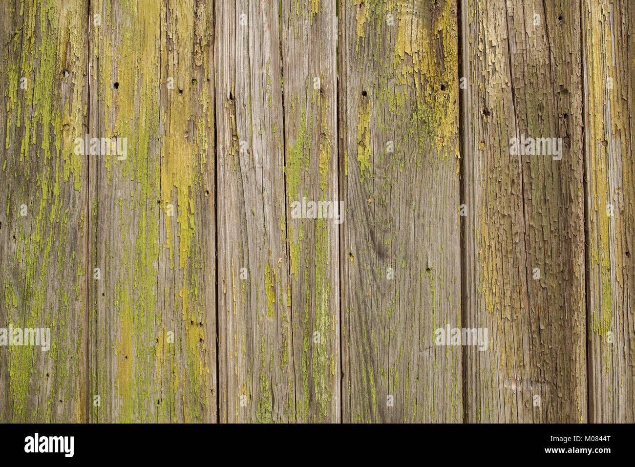 Vintage background from a wooden shabby yellow plank. Toned image Stock ...