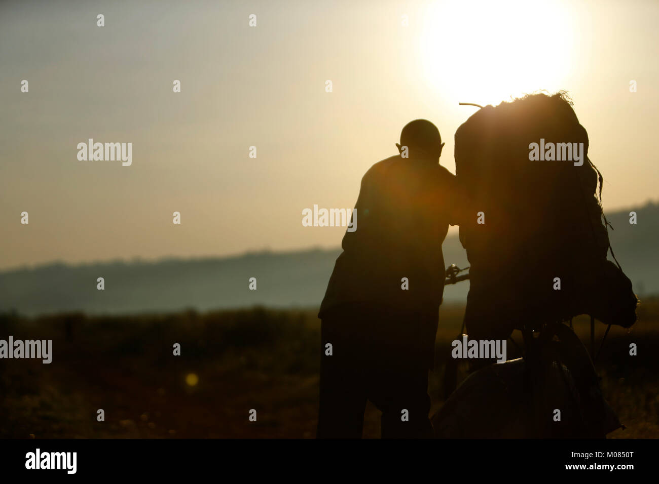 At sunrise, in Makamba in the south of Burundi, a man pushes his bike loaded with a food bag heading to the market by passing through rice fields. Stock Photo
