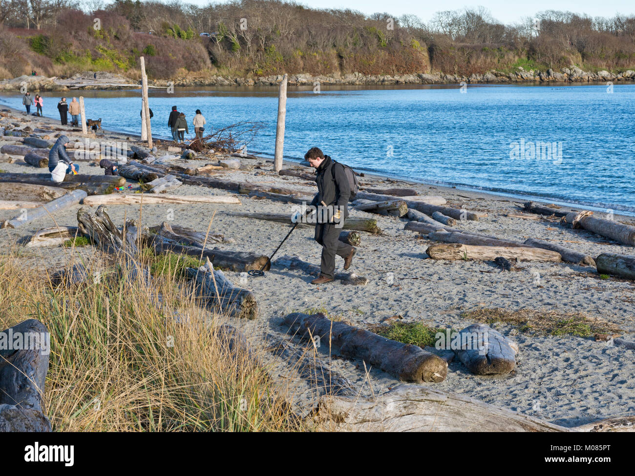 Man with metal detector at one of the beaches in Greater Victoria, BC, Canada. Stock Photo