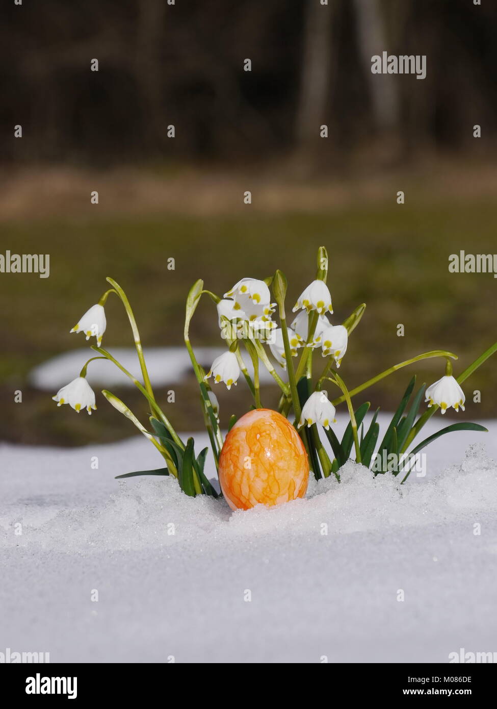 Spring Easter Snow Snow at easter hi-res stock photography and images - Alamy