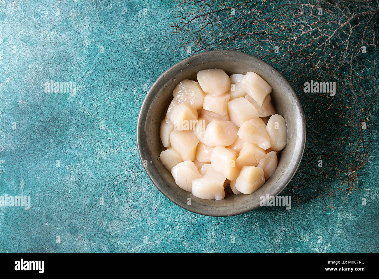 Raw uncooked scallops Stock Photo Alamy