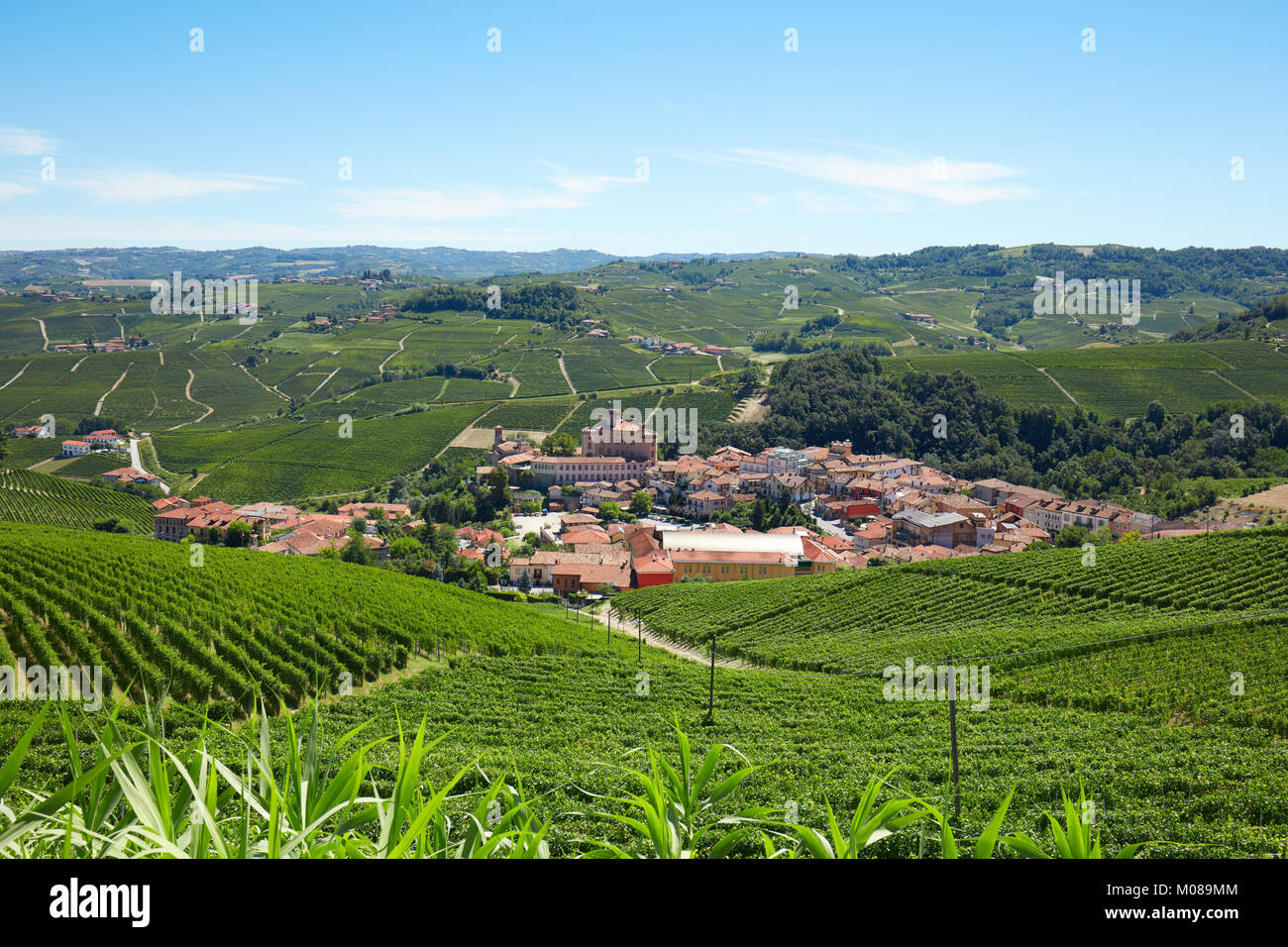 Barolo medieval town surrounded by vineyards, Langhe hills in Italy Stock Photo
